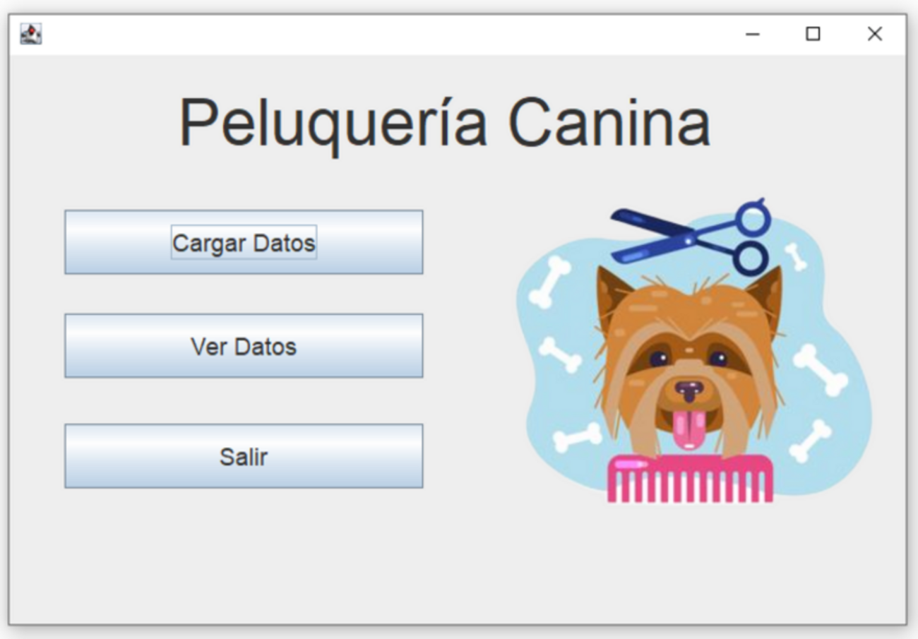 proyecto peluqieria canina